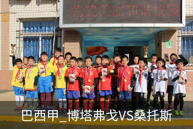 巴西甲 博塔弗戈VS桑托斯