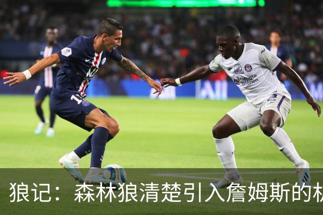 狼记：森林狼清楚引入詹姆斯的机会微乎其微 但他们积极主动招募